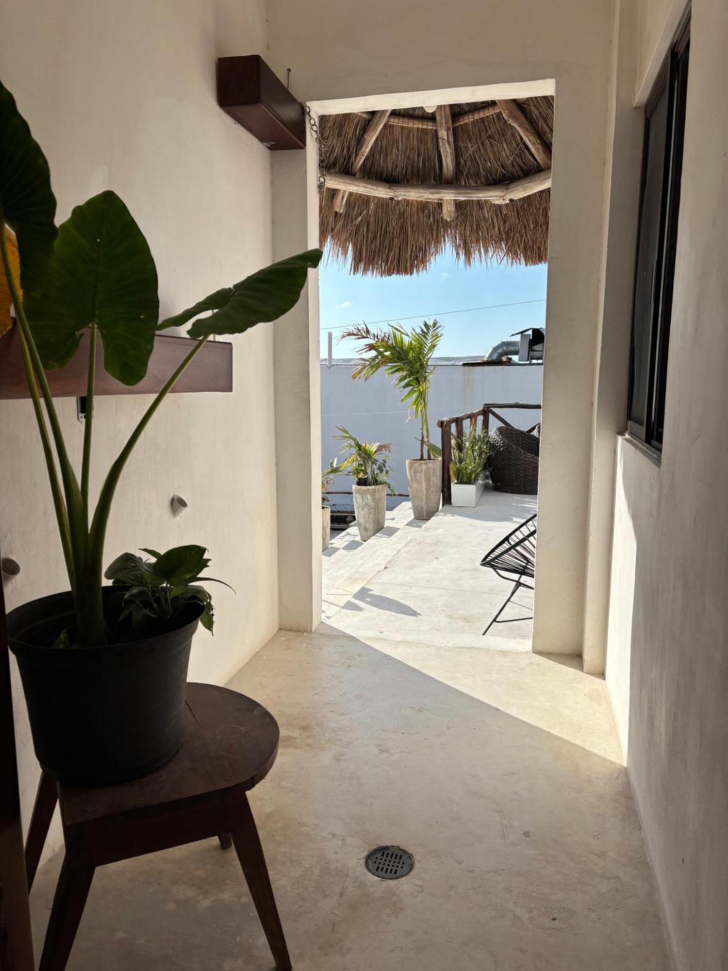 Hotel Mittoz Holbox Exteriör bild